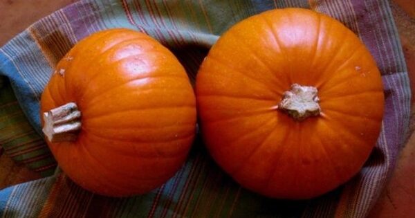 Pumpkin Scones with Berry Butter | PBS Food