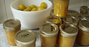 Plum Chutney | Recipes | PBS Food | PBS Food
