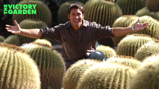 The Victory Garden | PBS