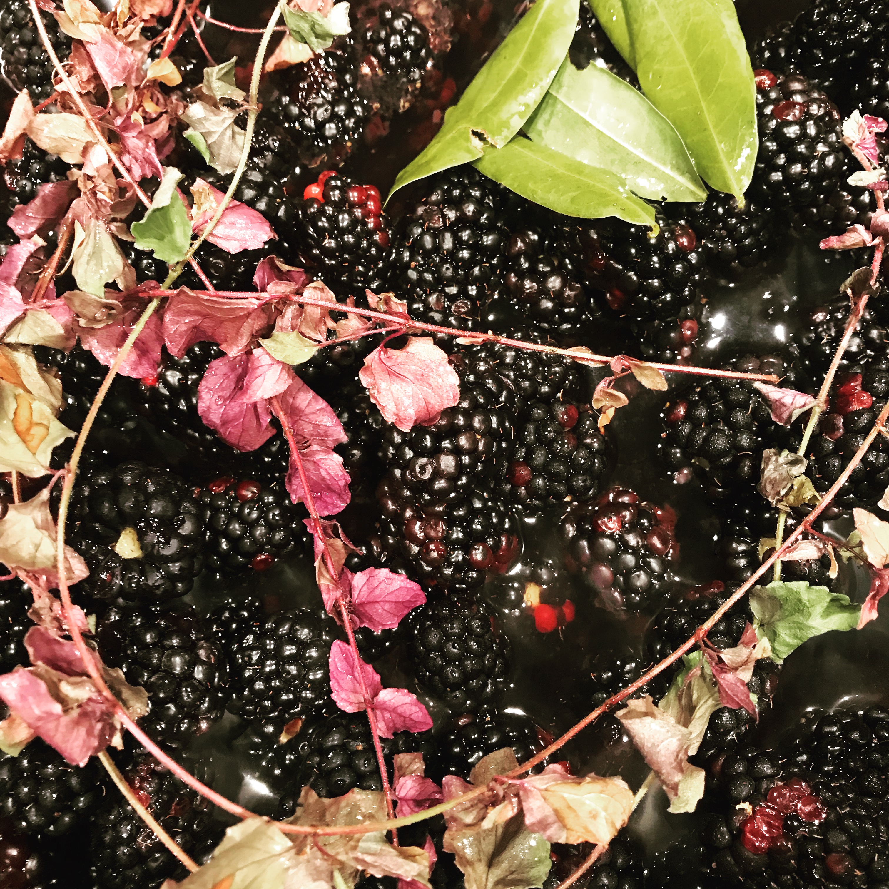 blackberry-sauce.jpg